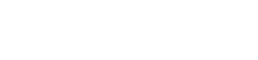 Logo Footer